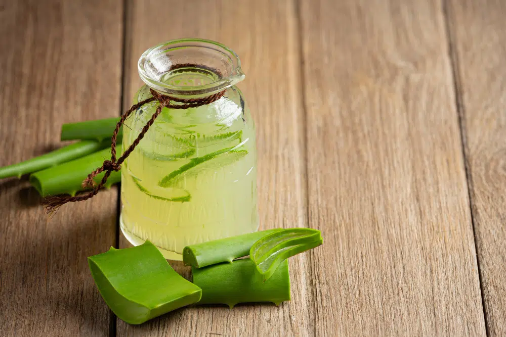 Aloe vera kivonat