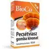 BioCo Pecsétviasz gomba kivonat tabletta - 60db