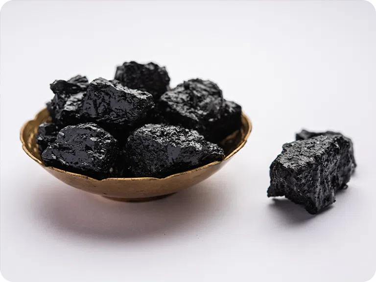 GAL PrimaVie Shilajit kapszula