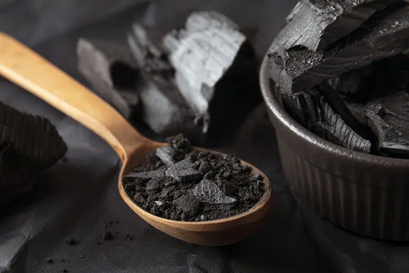 GAL PrimaVie Shilajit