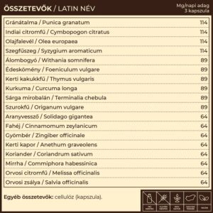 Myrobalan NoDida - candida egyensúly kapszula - 60db - Image 4