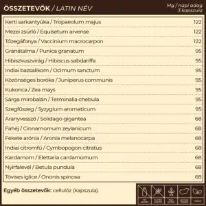 Myrobalan UriDag - hólyaghurut és húgyúti fertőzésekre kapszula - 60db - Image 4