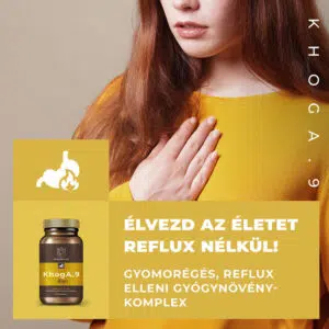 Myrobalan KhogA.9 - reflux kezelésére kapszula - 60db