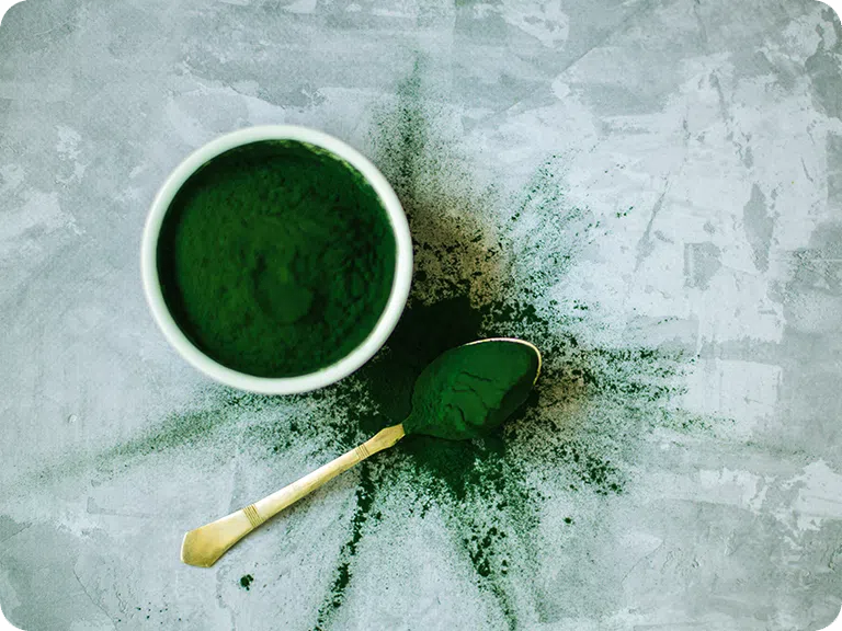 Natur Tanya Vegán 100% Spirulina tabletta