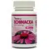 Netamin Echinacea (Bíbor kasvirág) 380mg kapszula - 30db
