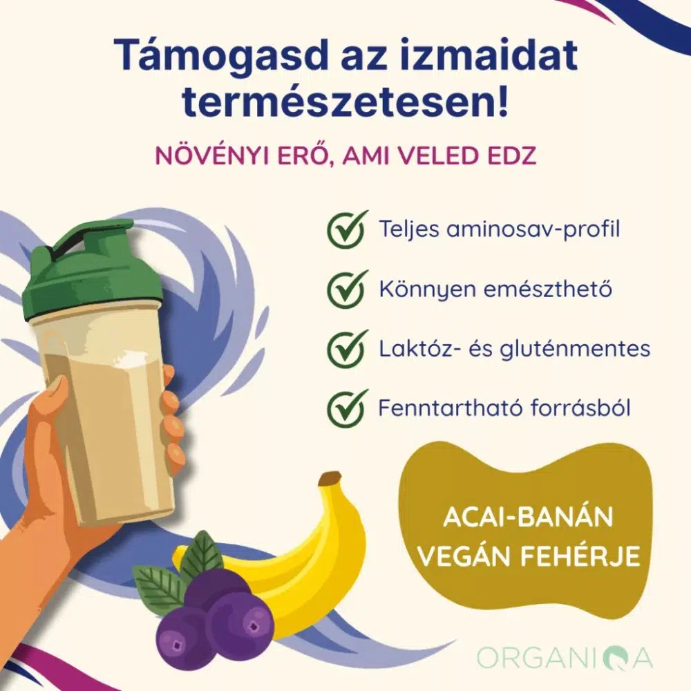 Organiqa 100% bio acai-banán vegán fehérje mix - 400g - Image 3