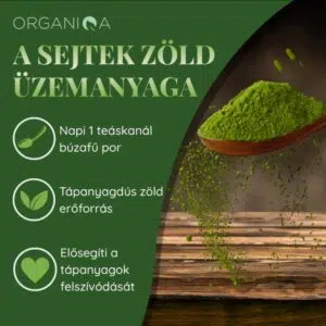 Organiqa Bio Búzafű por - 125g - Image 4