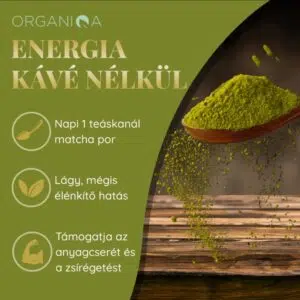 Organiqa Bio Matcha por - 60g - Image 4