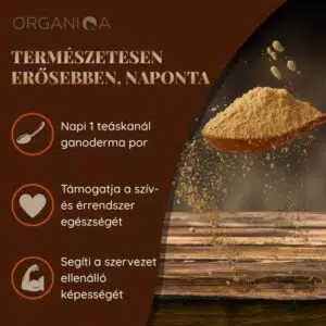 Organiqa Bio Reishi-Ganoderma por - 125g - Image 4
