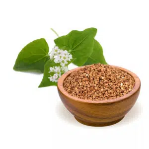 Biomenü bio Hajdina - 500g