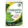 drchen-charan-tea-kapszula