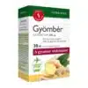 Interherb Gyömbér extraktum kapszula - 30db