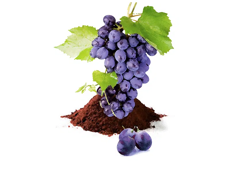 Natur Tanya Vörös Szőlőhéj őrlemény - 250g
