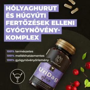 Myrobalan UriDag - hólyaghurut és húgyúti fertőzésekre kapszula - 60db