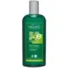 Logona Citromfű sampon zsírosodó hajra - 250ml