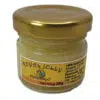 Royal jelly természetes méhpempő - 30g