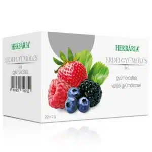 Herbária Gyümölcstea erdei gyümölcs - 20 filter