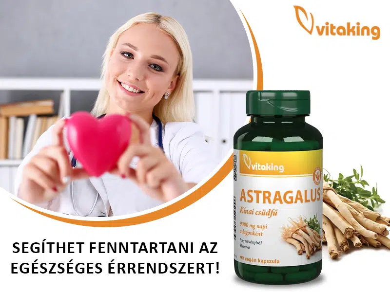 Egészség természetesen az astragalus segítségével - Vitaking Astragalus Kivonat Kapszula