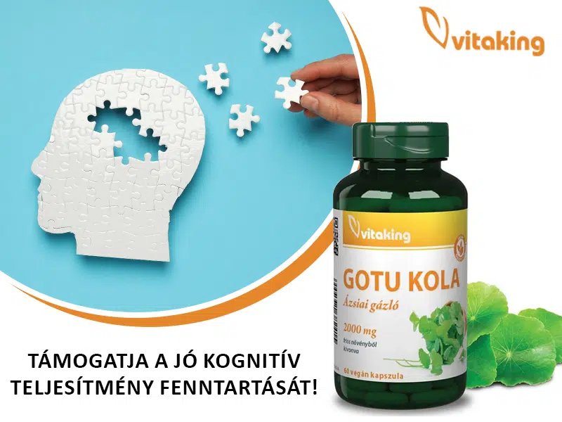 Küzdjön a fáradtság és stressz ellen Gotu kolával! Fedezze fel a Vitaking Gotu Kola kivonat kapszulát!