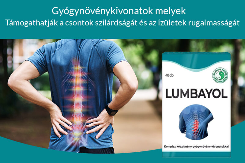 LUMBAYOL: Amikor a természet találkozik a tudománnyal