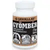 Javallat Gyömbér