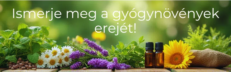 gyógynövények, LUMBAYOL