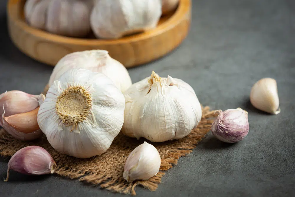 Fokhagyma