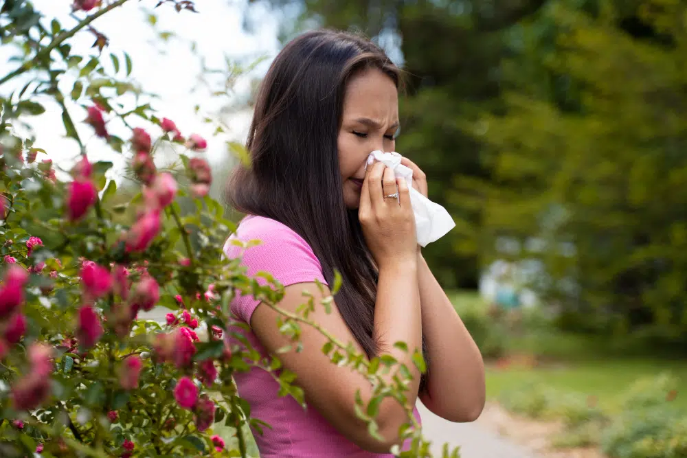 Szezonális allergiától szenvedőknek