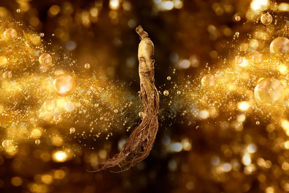 ginseng kapszula